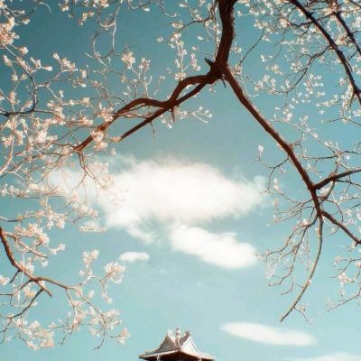 sp盒子官方版app下载